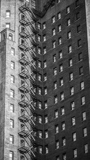 吃瓜的松鼠小说大全截图4